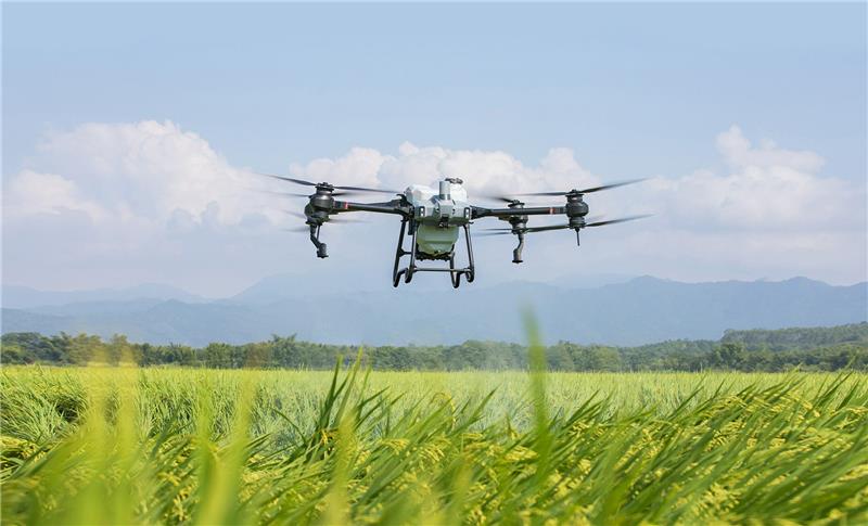 Nuevo informe DJI Agriculture Drone Insight